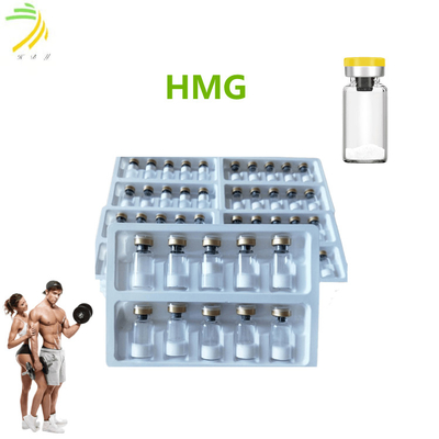 quality Reinheit der Hormon-Medikations-HMG (Menotropin) 75IU Vial Peptide With 99% factory